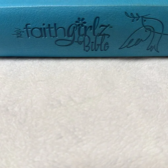 Bible case/Bible - Picture 4 of 12